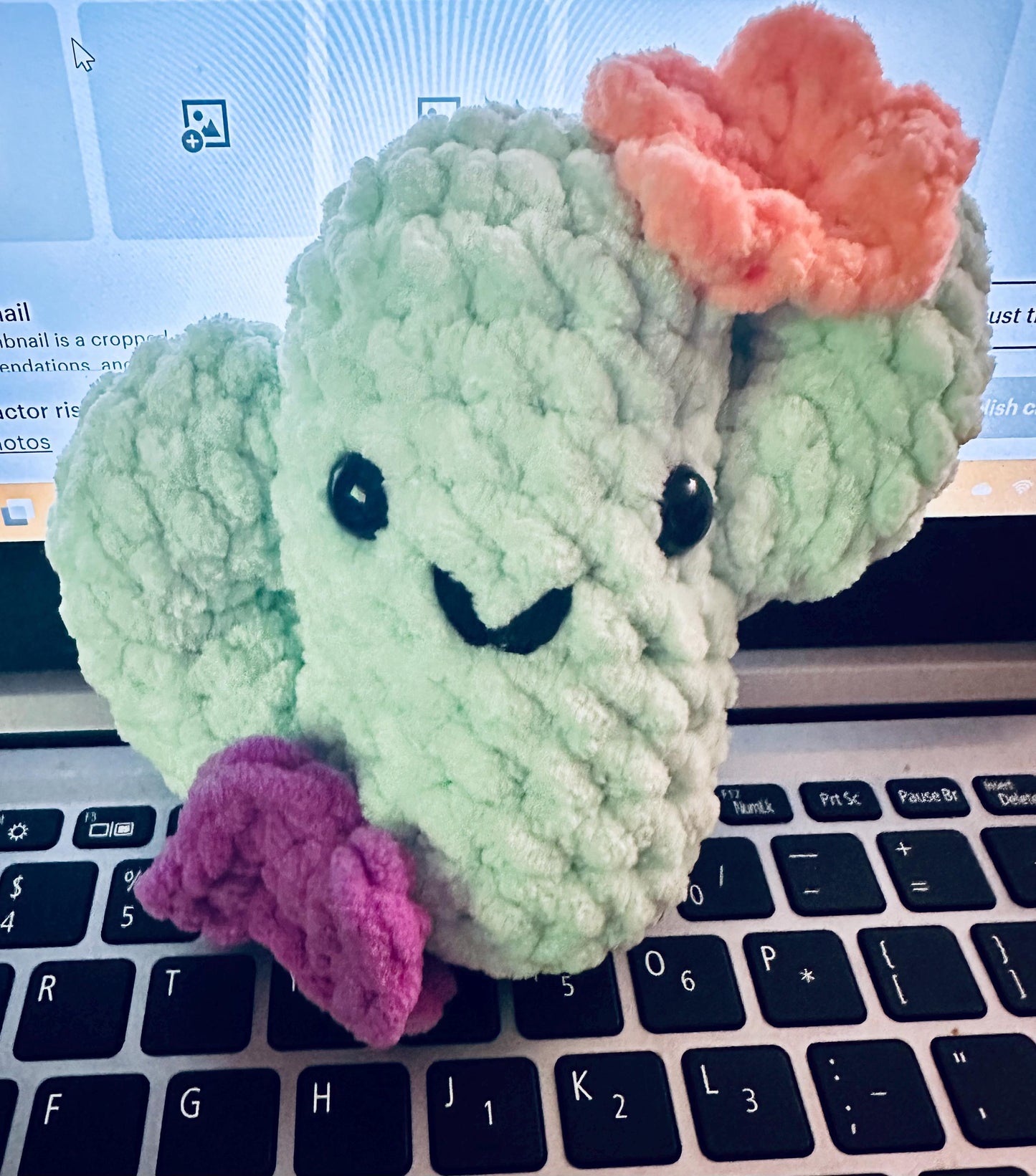 Mini Cactus with Flowers-Crochet Plushie